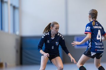 Bild 246 - wBJ HTS/BW96 Handball - Niendorfer TSV : Ergebnis: 27:27